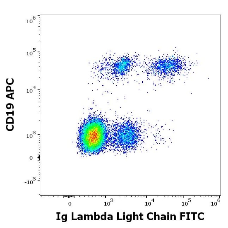 Flow Cytometry - Anti-Human Lambda Light Chain Antibody [4C2] (FITC) (A86782)