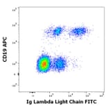Flow Cytometry - Anti-Human Lambda Light Chain Antibody [4C2] (FITC) (A86782)