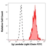 Flow Cytometry - Anti-Human Lambda Light Chain Antibody [4C2] (FITC) (A86782)