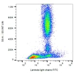 Flow Cytometry - Anti-Human Lambda Light Chain Antibody [4C2] (FITC) (A86781) - Antibodies.com