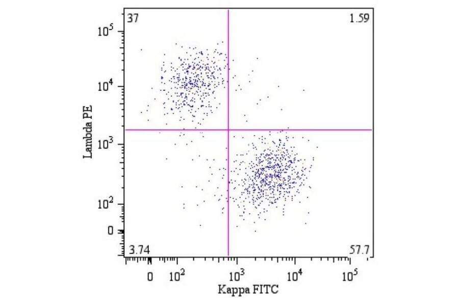 Flow Cytometry - Anti-Human Lambda Light Chain Antibody [4C2] (PE) (A86783)