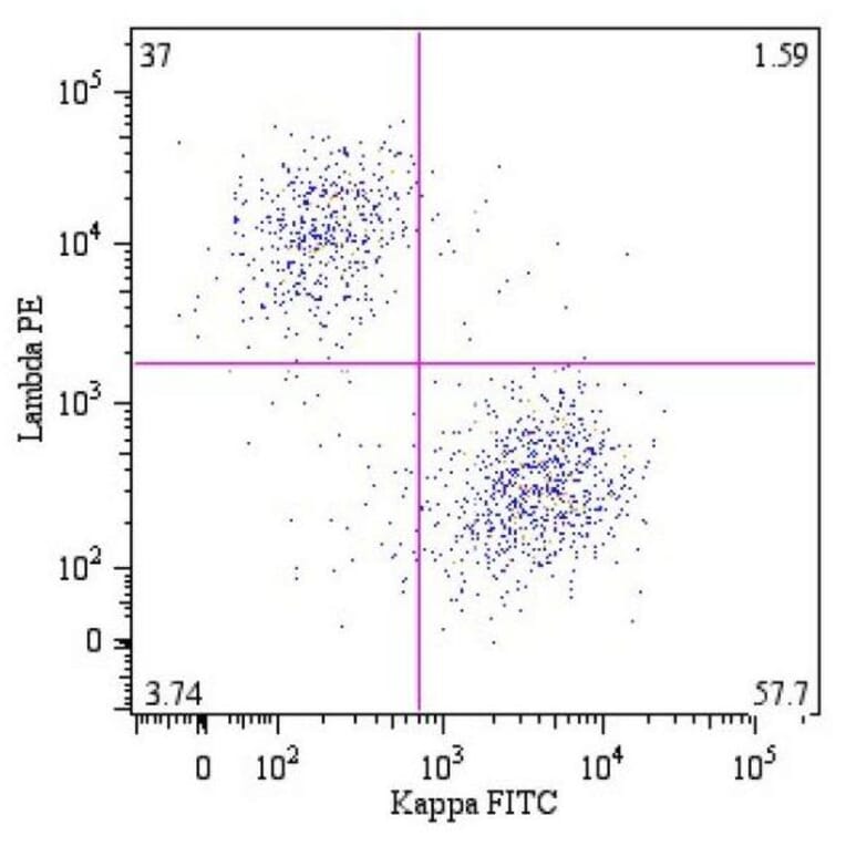 Flow Cytometry - Anti-Human Lambda Light Chain Antibody [4C2] (PE) (A86783)