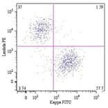 Flow Cytometry - Anti-Human Lambda Light Chain Antibody [4C2] (PE) (A86783)