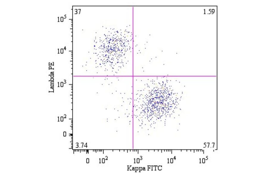 Flow Cytometry - Anti-Human Lambda Light Chain Antibody [4C2] (PE) (A86782) - Antibodies.com
