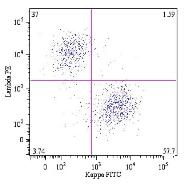 Flow Cytometry - Anti-Human Lambda Light Chain Antibody [4C2] (PE) (A86782) - Antibodies.com