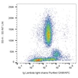 Flow Cytometry - Anti-Human Lambda Light Chain Antibody [4C2] (A86785)