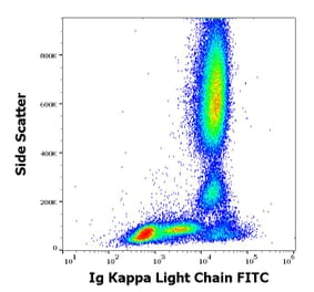 Flow Cytometry - Anti-Human Kappa Light Chain Antibody [A8B5] (FITC) (A86788)