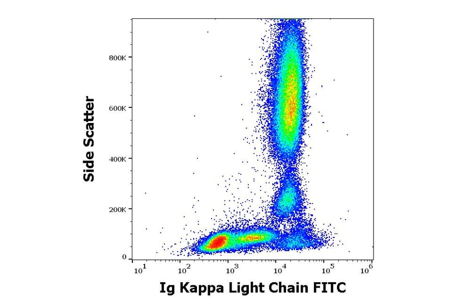 Flow Cytometry - Anti-Human Kappa Light Chain Antibody [A8B5] (FITC) (A86788)