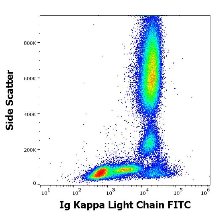 Flow Cytometry - Anti-Human Kappa Light Chain Antibody [A8B5] (FITC) (A86788)