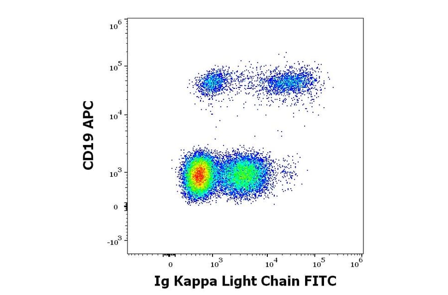 Flow Cytometry - Anti-Human Kappa Light Chain Antibody [A8B5] (FITC) (A86788)