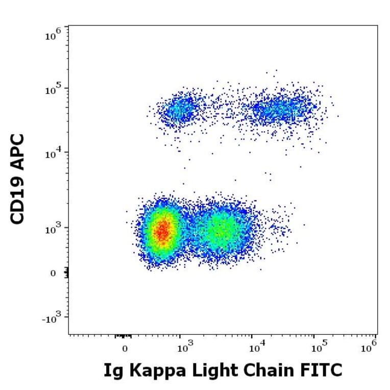 Flow Cytometry - Anti-Human Kappa Light Chain Antibody [A8B5] (FITC) (A86788)