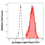 Flow Cytometry - Anti-Human Kappa Light Chain Antibody [A8B5] (FITC) (A86788)