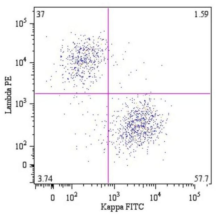Flow Cytometry - Anti-Human Kappa Light Chain Antibody [A8B5] (FITC) (A86788)