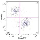 Flow Cytometry - Anti-Human Kappa Light Chain Antibody [A8B5] (FITC) (A86788)