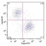 Flow Cytometry - Anti-Human Kappa Light Chain Antibody [A8B5] (FITC) (A86787) - Antibodies.com