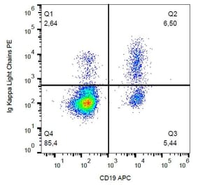 Flow Cytometry - Anti-Human Kappa Light Chain Antibody [A8B5] (PE) (A86789)