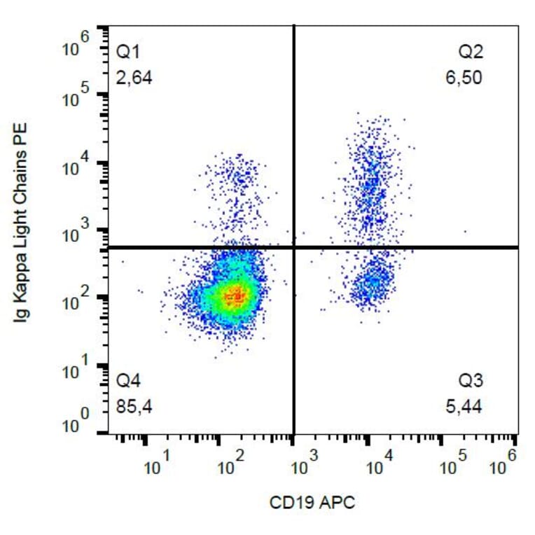 Flow Cytometry - Anti-Human Kappa Light Chain Antibody [A8B5] (PE) (A86789)