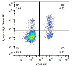 Flow Cytometry - Anti-Human Kappa Light Chain Antibody [A8B5] (PE) (A86788) - Antibodies.com