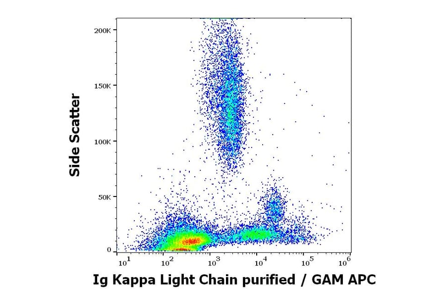 Flow Cytometry - Anti-Human Kappa Light Chain Antibody [A8B5] (A86790)
