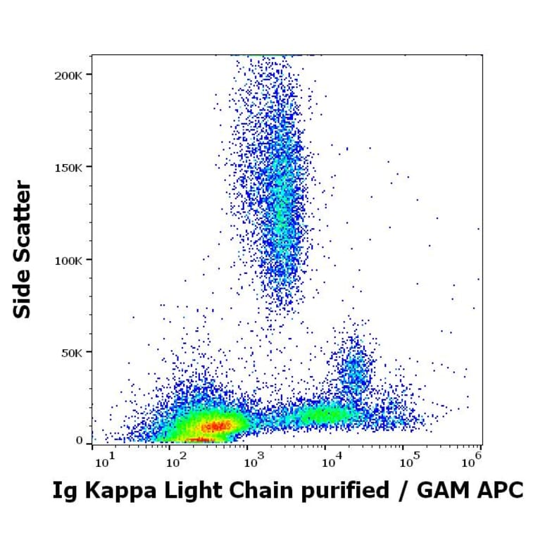 Flow Cytometry - Anti-Human Kappa Light Chain Antibody [A8B5] (A86790)