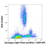 Flow Cytometry - Anti-Human Kappa Light Chain Antibody [A8B5] (A86790)