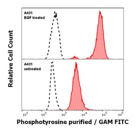 Flow Cytometry - Anti-Phosphotyrosine Antibody [P-Tyr-01] (A86791)