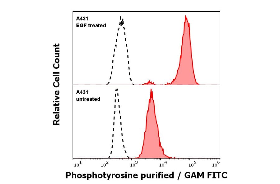 Flow Cytometry - Anti-Phosphotyrosine Antibody [P-Tyr-01] (A86791)