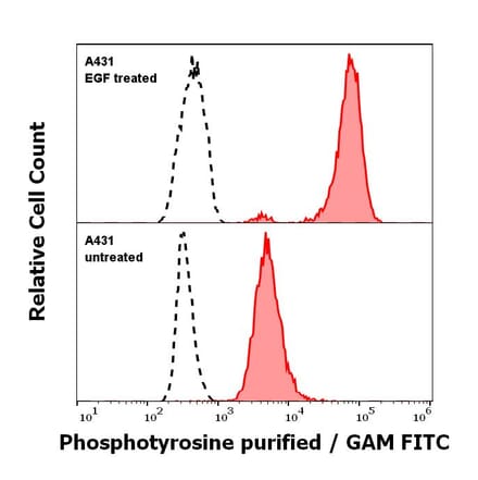 Flow Cytometry - Anti-Phosphotyrosine Antibody [P-Tyr-01] (A86791)