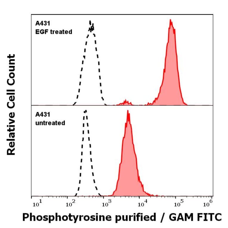 Flow Cytometry - Anti-Phosphotyrosine Antibody [P-Tyr-01] (A86791)