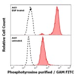 Flow Cytometry - Anti-Phosphotyrosine Antibody [P-Tyr-01] (A86791)