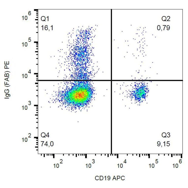 Flow Cytometry - Anti-Human IgG Fab Antibody [4A11] (PE) (A86803)