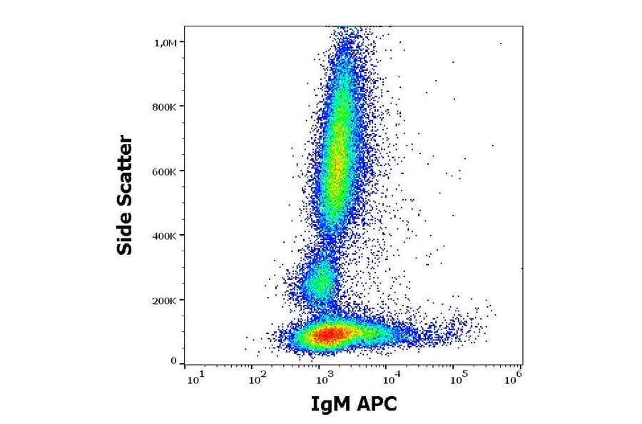 Flow Cytometry - Anti-Human IgM Fc Antibody [CH2] (APC) (A86806)
