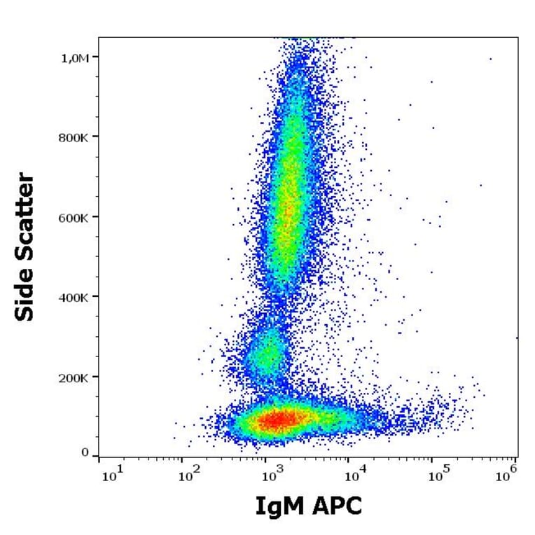 Flow Cytometry - Anti-Human IgM Fc Antibody [CH2] (APC) (A86806)