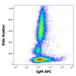 Flow Cytometry - Anti-Human IgM Fc Antibody [CH2] (APC) (A86806)