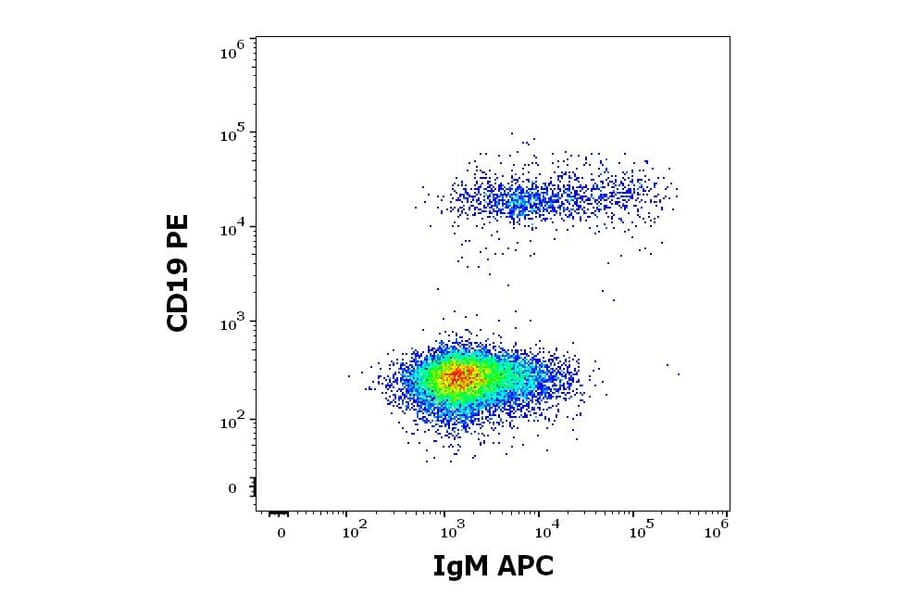 Flow Cytometry - Anti-Human IgM Fc Antibody [CH2] (APC) (A86806)