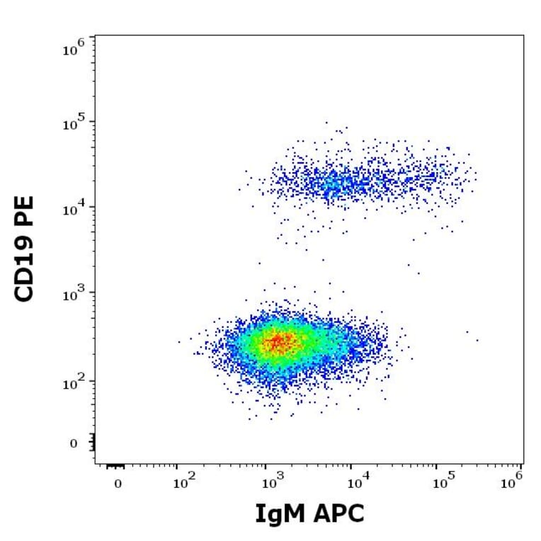 Flow Cytometry - Anti-Human IgM Fc Antibody [CH2] (APC) (A86806)