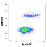 Flow Cytometry - Anti-Human IgM Fc Antibody [CH2] (APC) (A86806)