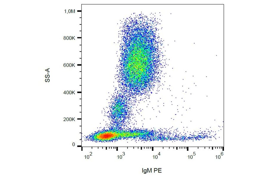 Flow Cytometry - Anti-Human IgM Fc Antibody [CH2] (PE) (A86807)