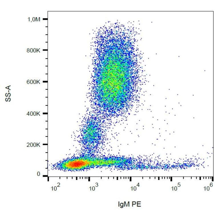 Flow Cytometry - Anti-Human IgM Fc Antibody [CH2] (PE) (A86807)