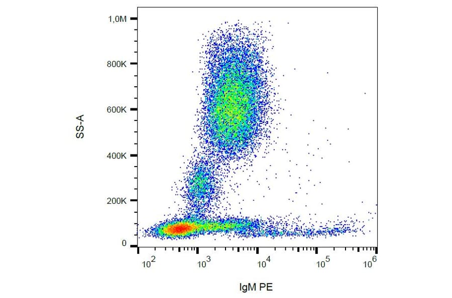 Flow Cytometry - Anti-Human IgM Antibody [CH2] (PE) (A86806) - Antibodies.com