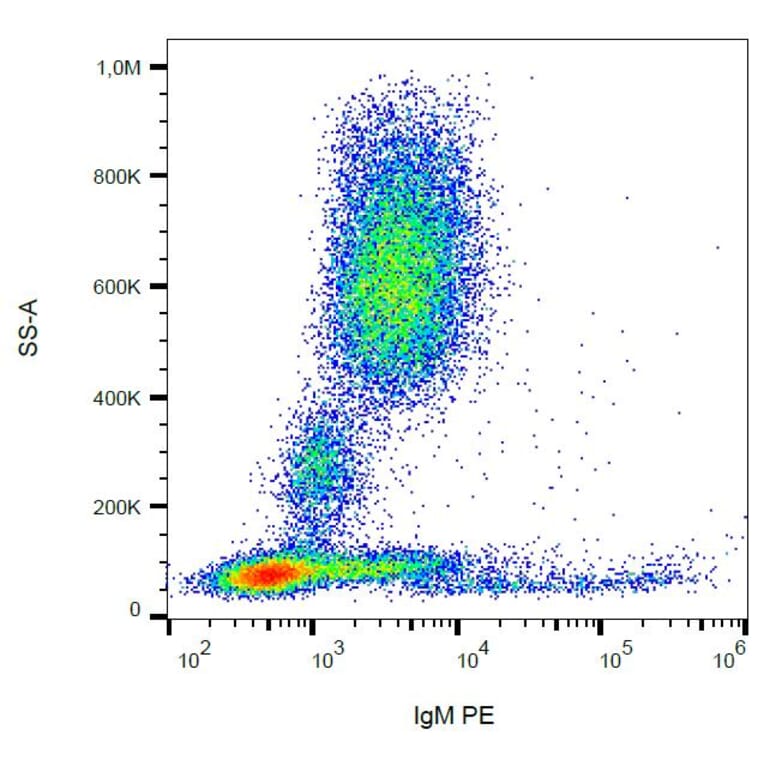Flow Cytometry - Anti-Human IgM Antibody [CH2] (PE) (A86806) - Antibodies.com