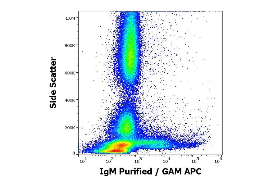 Flow Cytometry - Anti-Human IgM Fc Antibody [CH2] (A86808)