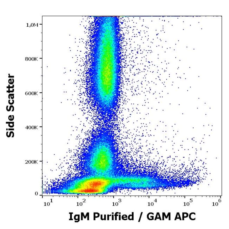 Flow Cytometry - Anti-Human IgM Fc Antibody [CH2] (A86808)
