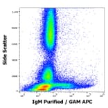 Flow Cytometry - Anti-Human IgM Fc Antibody [CH2] (A86808)