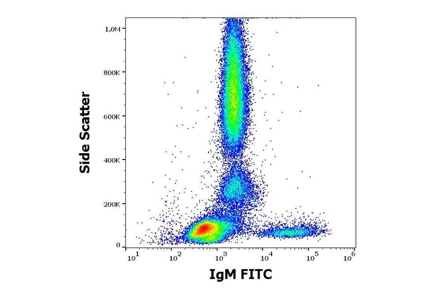 Flow Cytometry - Anti-Human IgM Fc Antibody [CH2] (FITC) (A86809)