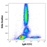 Flow Cytometry - Anti-Human IgM Fc Antibody [CH2] (FITC) (A86809)