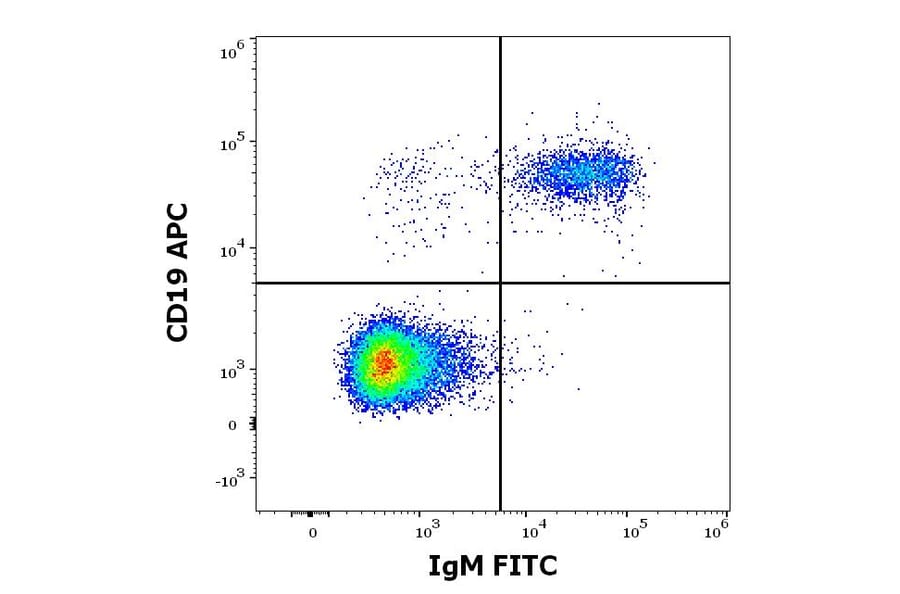 Flow Cytometry - Anti-Human IgM Fc Antibody [CH2] (FITC) (A86809)