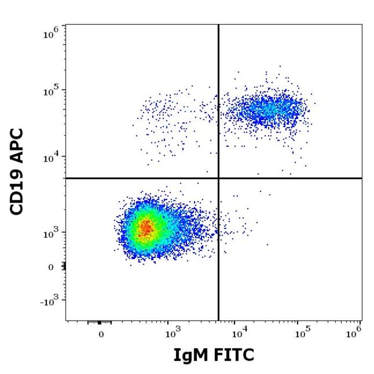 Flow Cytometry - Anti-Human IgM Fc Antibody [CH2] (FITC) (A86809)