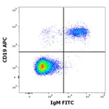 Flow Cytometry - Anti-Human IgM Fc Antibody [CH2] (FITC) (A86809)