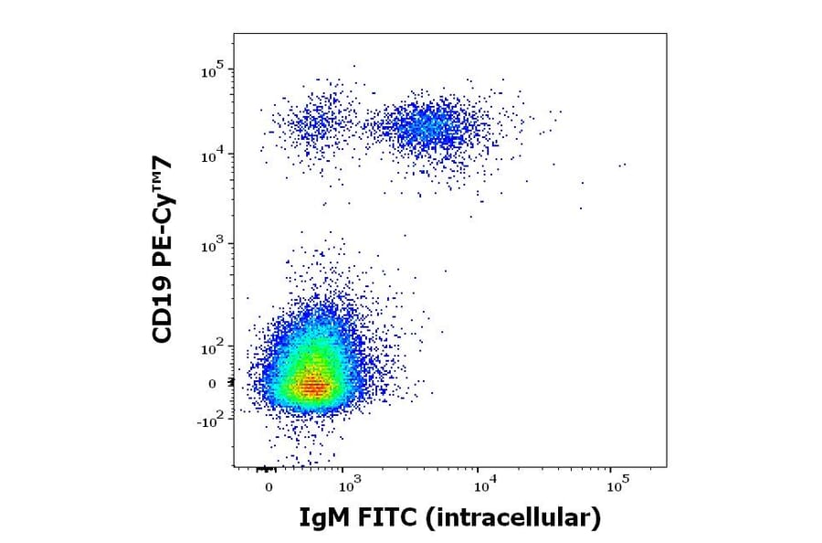 Flow Cytometry - Anti-Human IgM Fc Antibody [CH2] (FITC) (A86809)